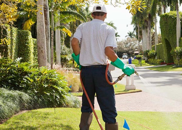About Hazel Park MI Pest Control
